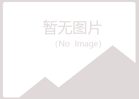 河池乐枫能源有限公司